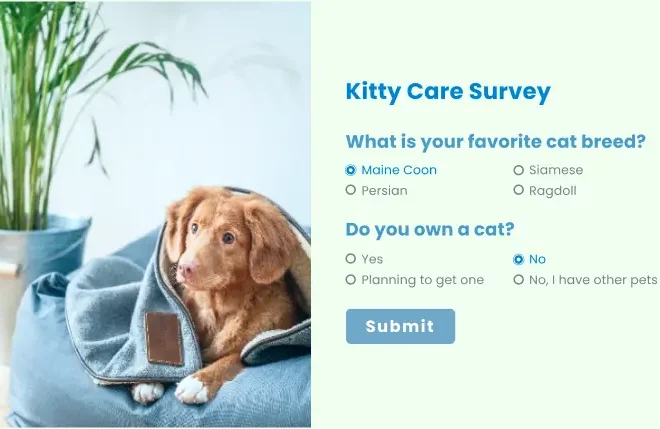 Fluent Forms – The Fastest Form Plugin for WordPress