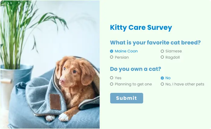 Fluent Forms – The Fastest Form Plugin for WordPress